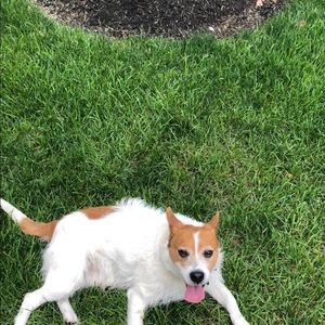 Meet your Posher, Mariejoe